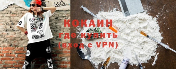 тгк Ладушкин