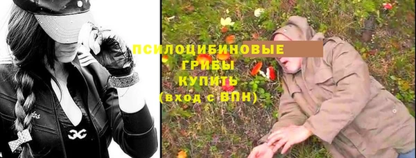 тгк Ладушкин