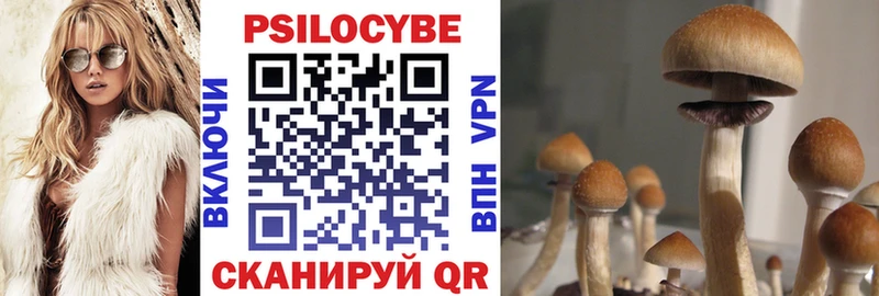 Галлюциногенные грибы Psilocybe  Купить закладки  Нарткала 